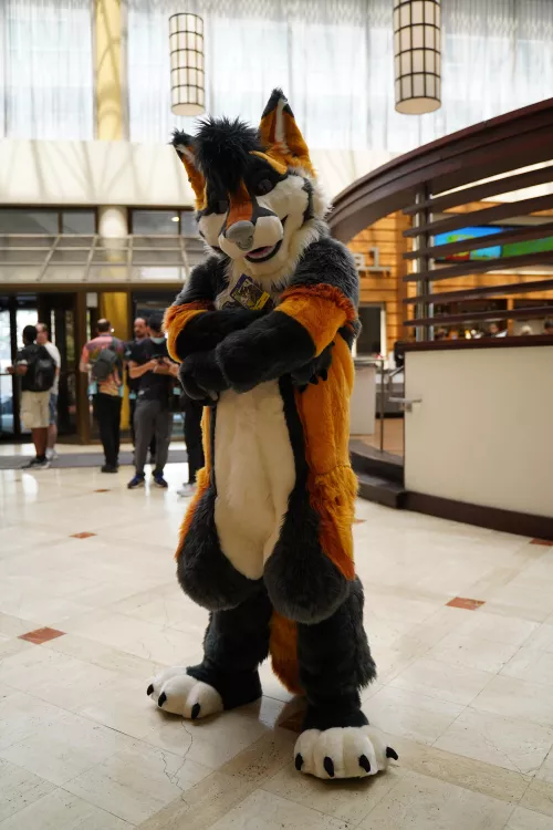 Got to debut my first fursuit at Furrydelphia! So excited and happy!