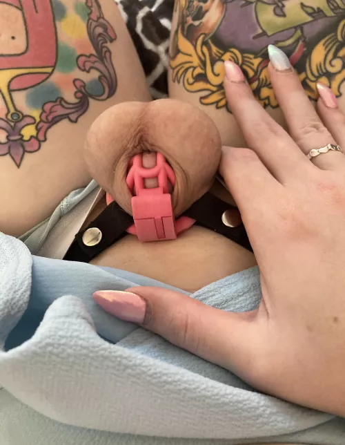 I love how small my clitty has gotten! It looks adorable in its tiny pink cage