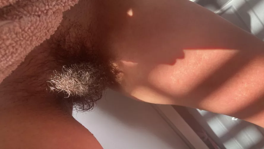 I love how the sun hits it just right