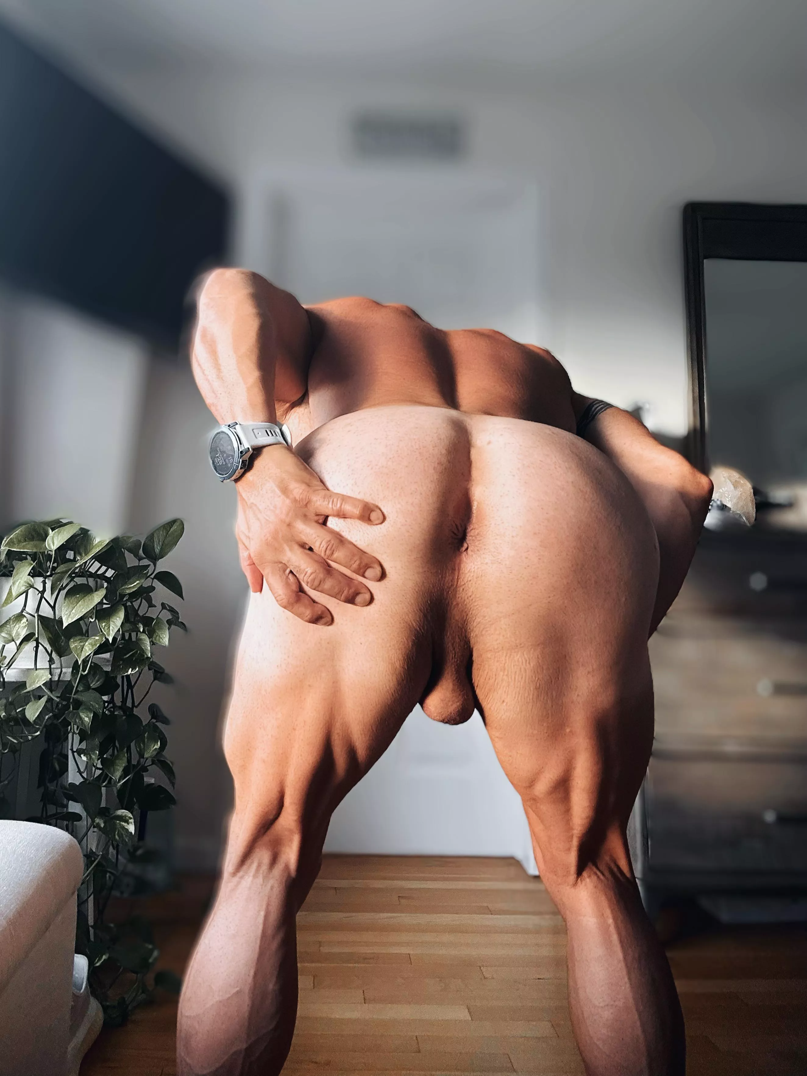 Labor Day- I’ll bring dessert to the bbq