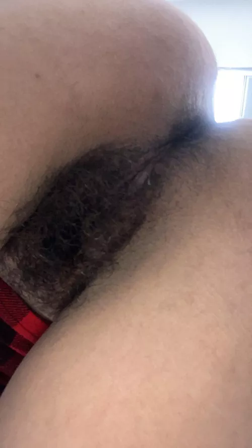 Lick my [h]airy holes from behind & I'll squirt in your mouth
