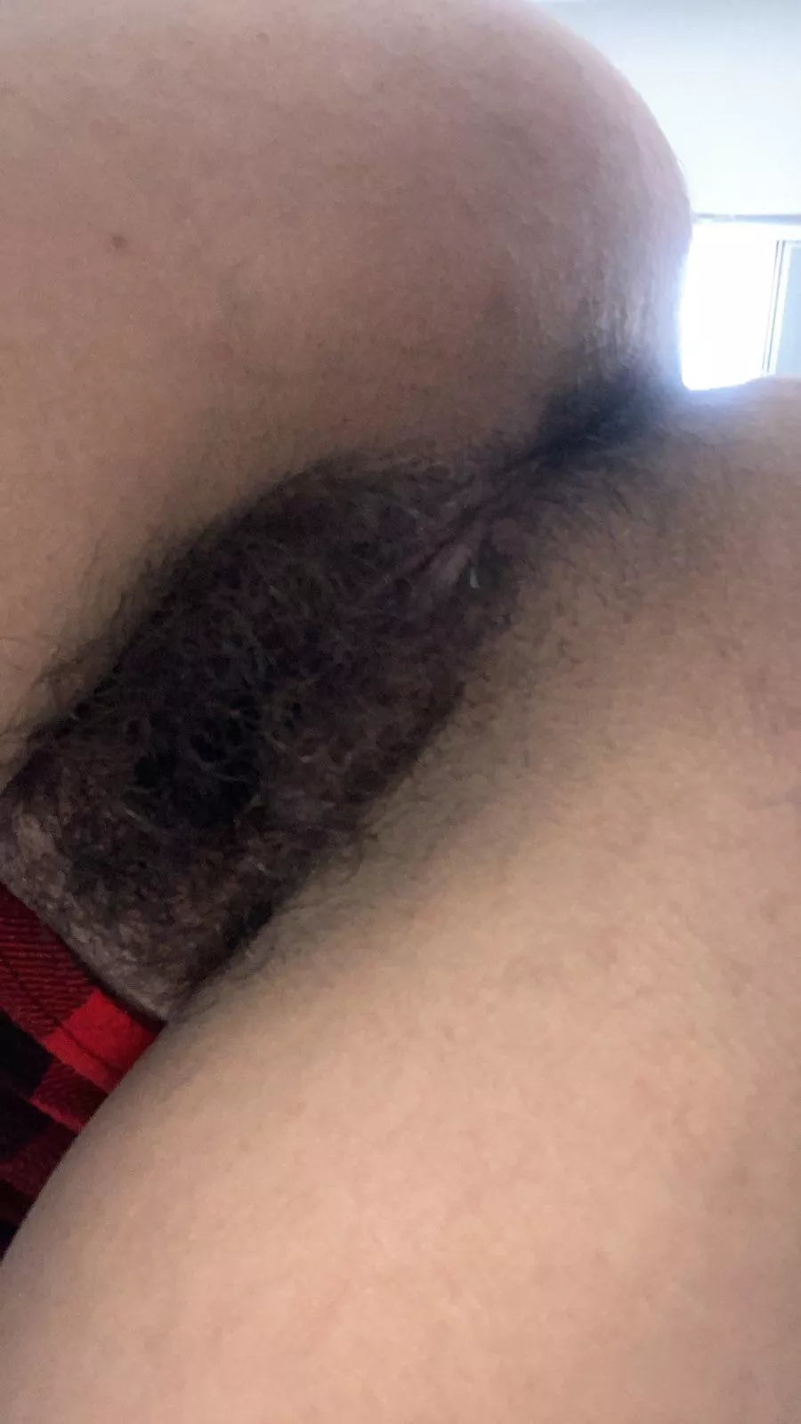 Lick my [h]airy holes from behind & I'll squirt in your mouth