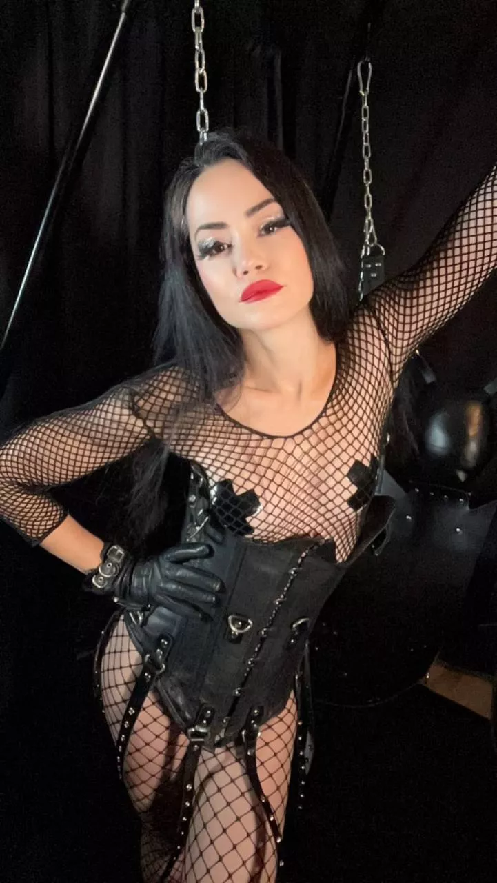 Ready to be turned into on my submissives... don't worry, you'll recieve your humiliation daily...