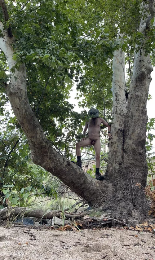 🌲 Tree pose Tuesday 🌲