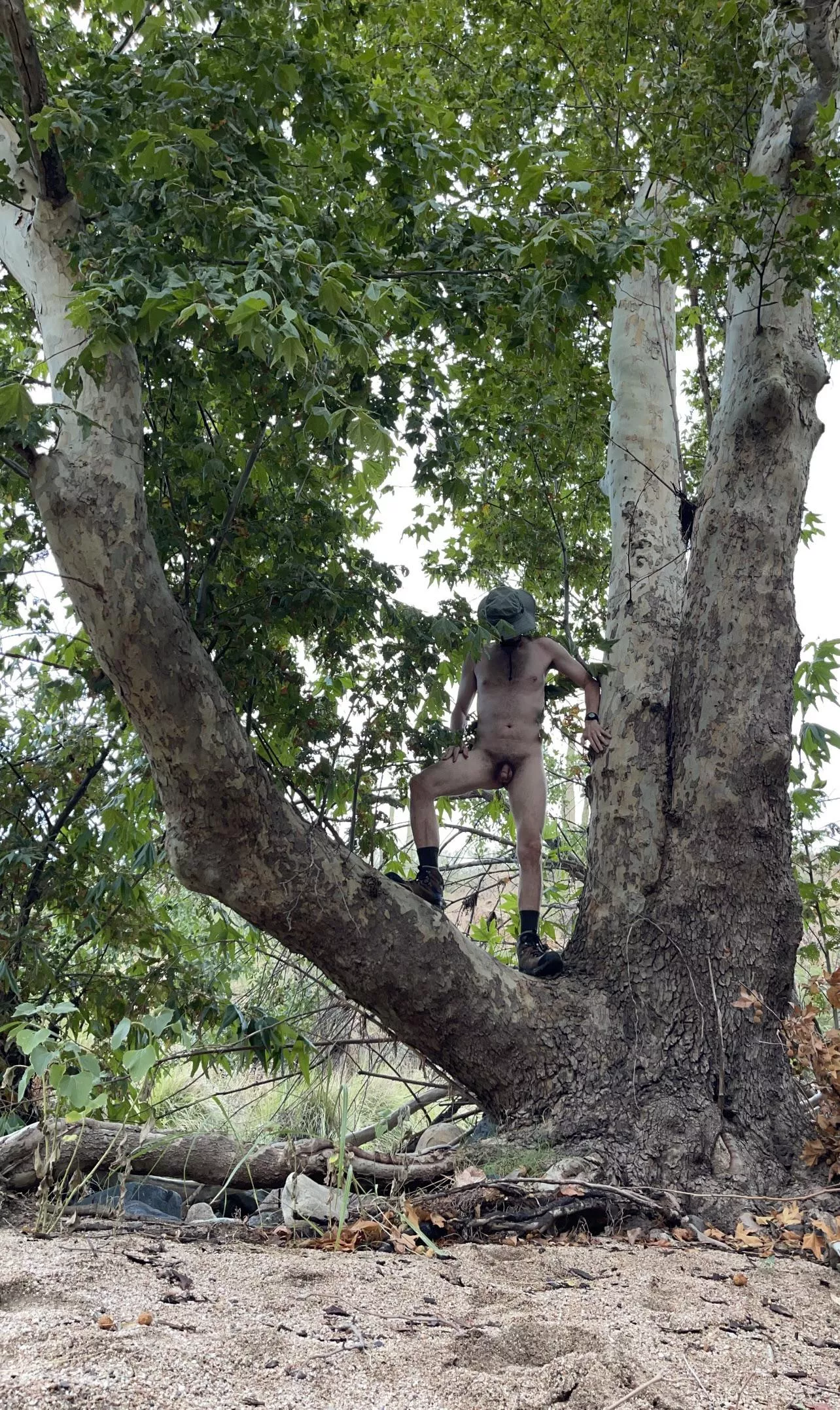 🌲 Tree pose Tuesday 🌲