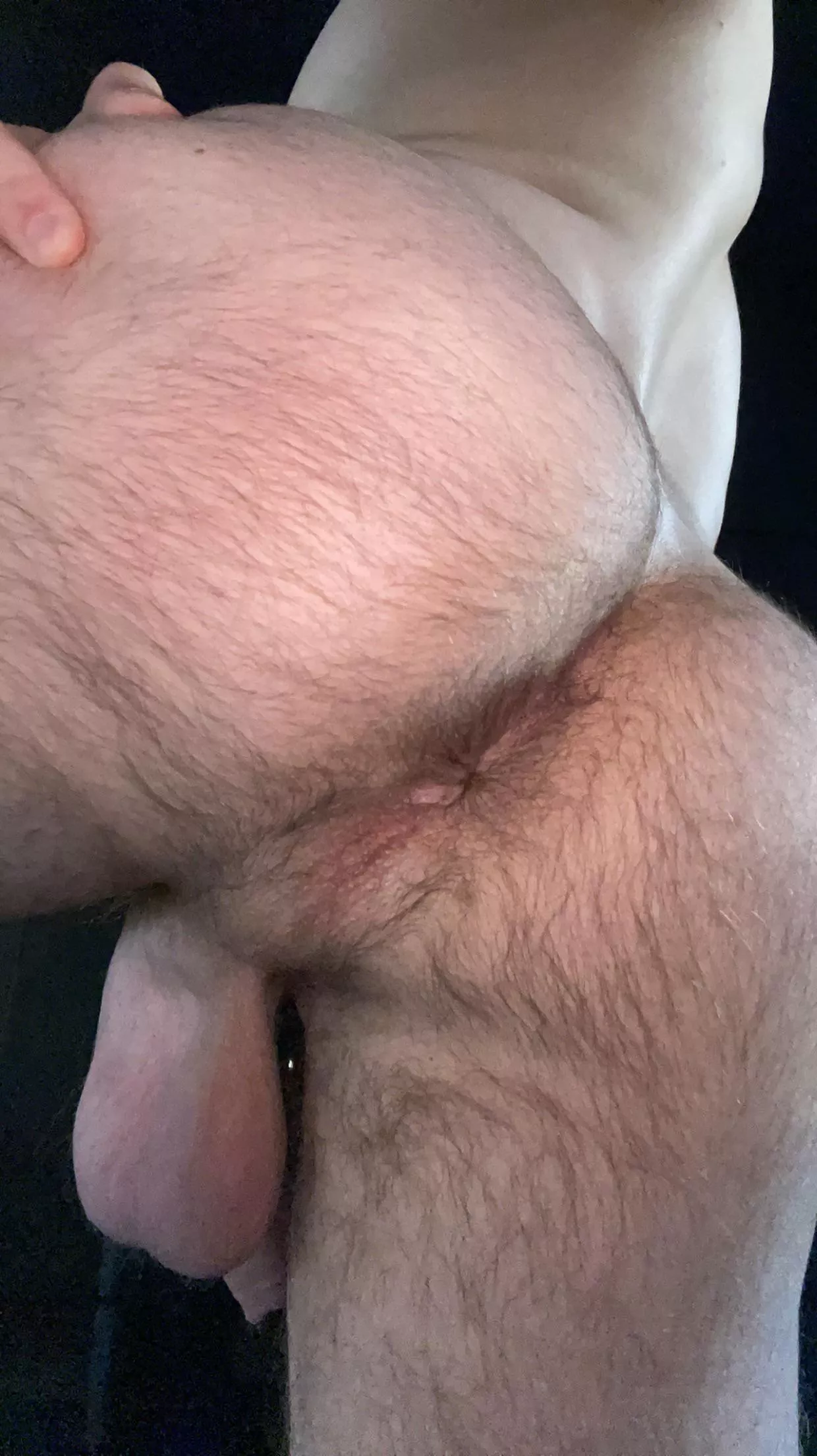28. Furry, Tight and Hungry. DM for snap