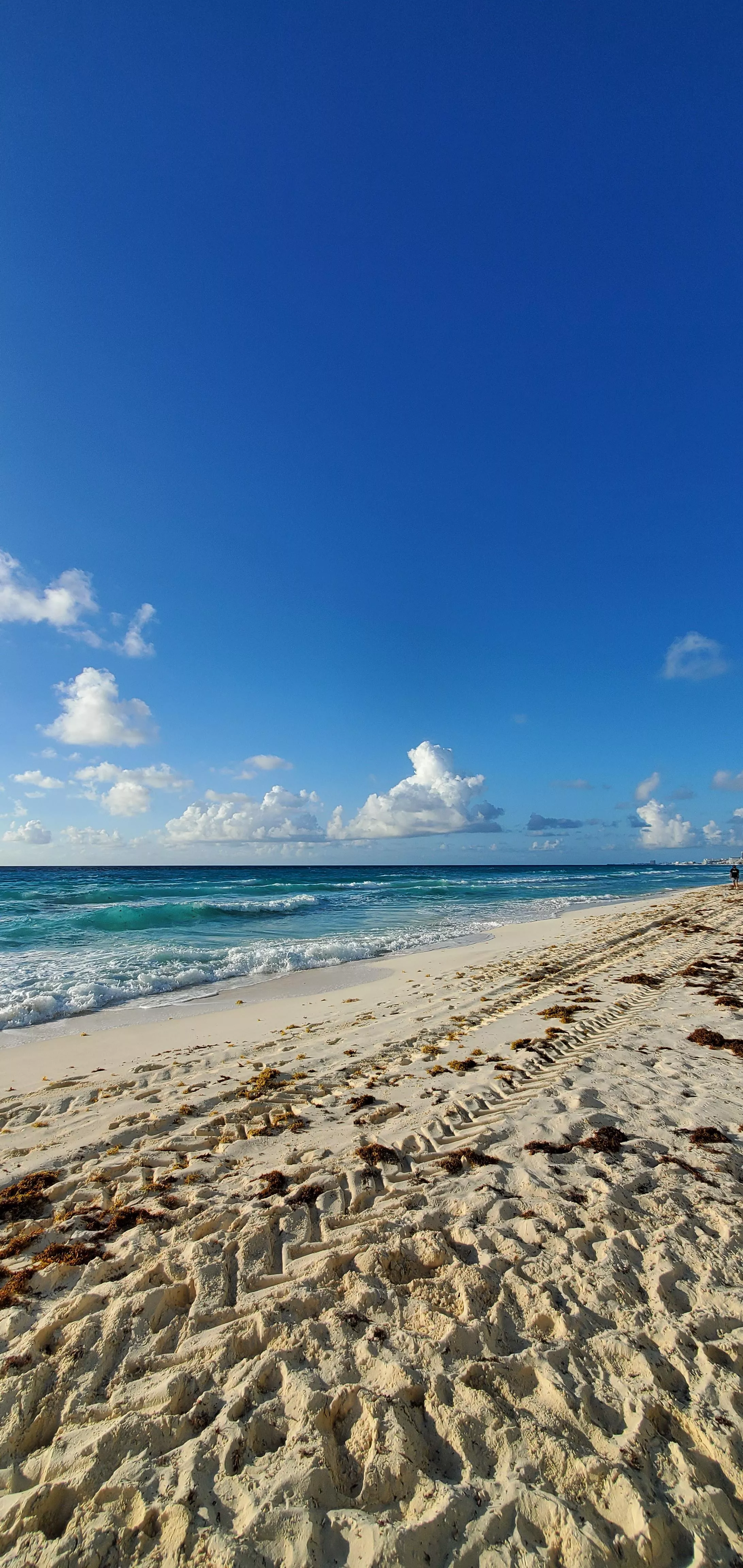 Beautiful beach at Cancun, Mexico