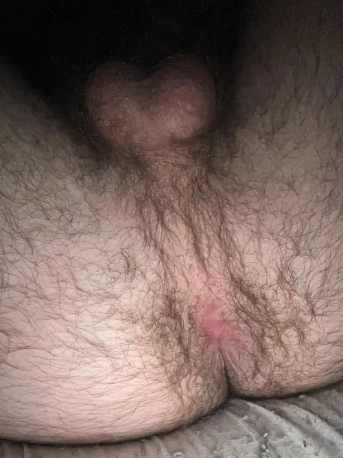 I need someone to eat my ass