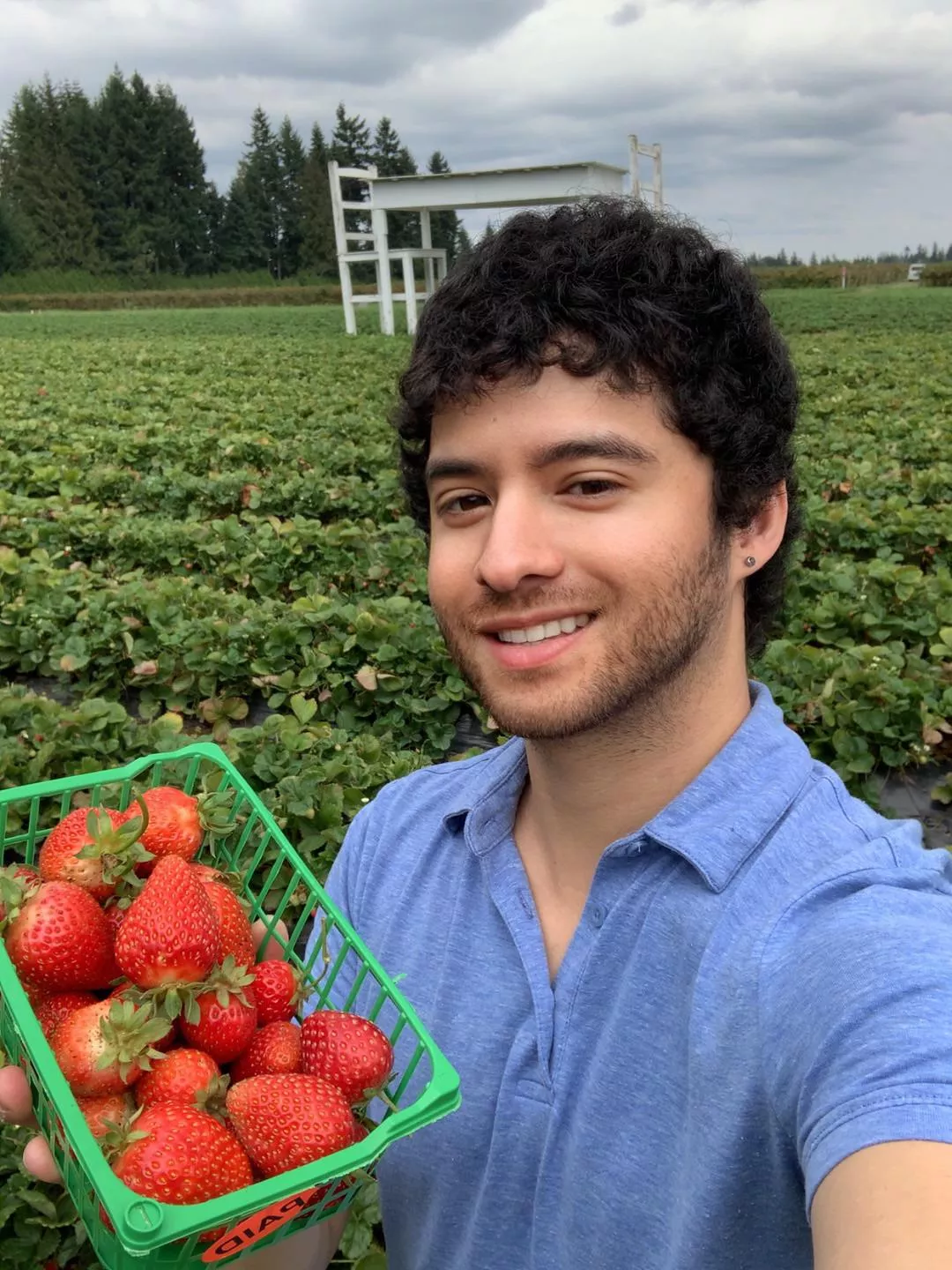 I recently tried strawberry 🍓 picking for the first time, and to my surprise, I found it incredibly calming. 😊
