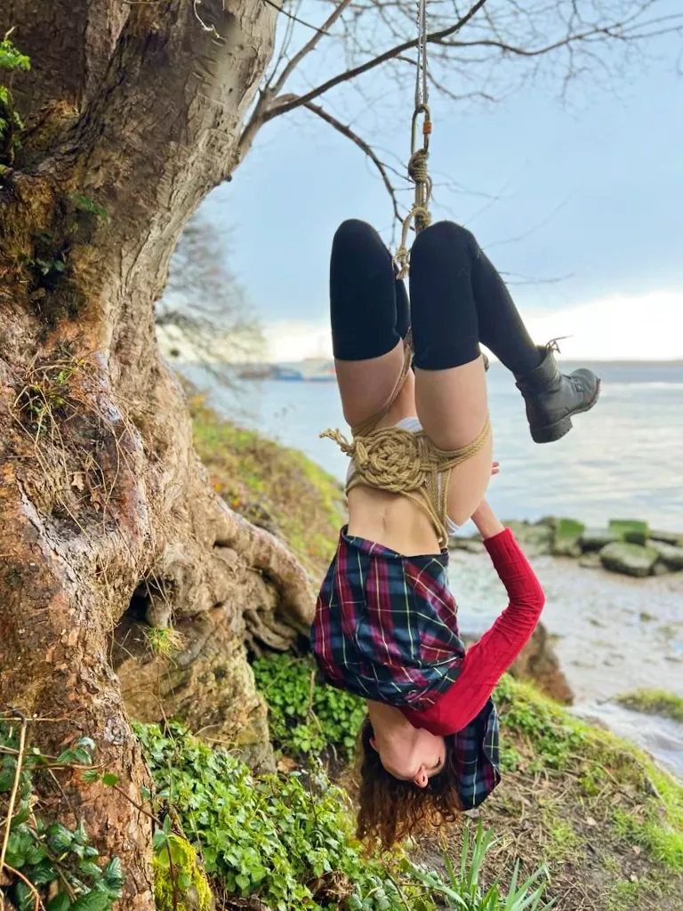 If you go down to the woods today...