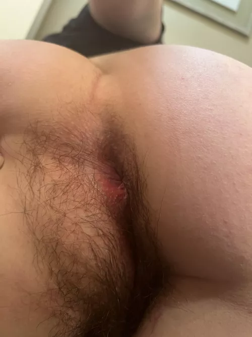 I'm looking for the best ass eater.... can you [h]elp?