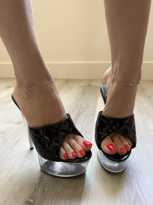 My new sexy mules 😍