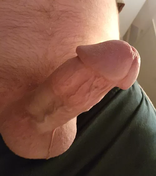 Needing some attention tonight!