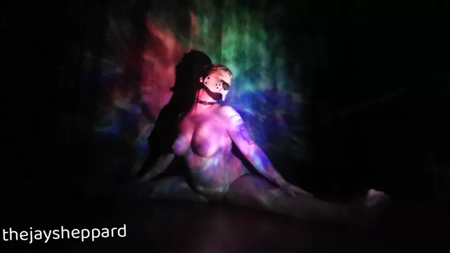 soft and bendy puppy