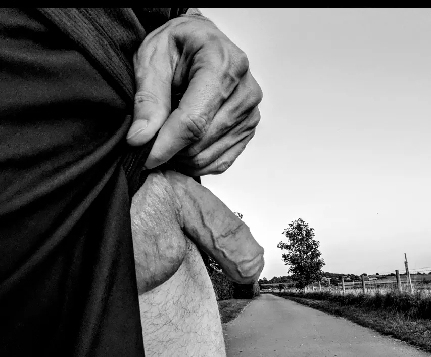 What do you think about freeing it in public? (30)