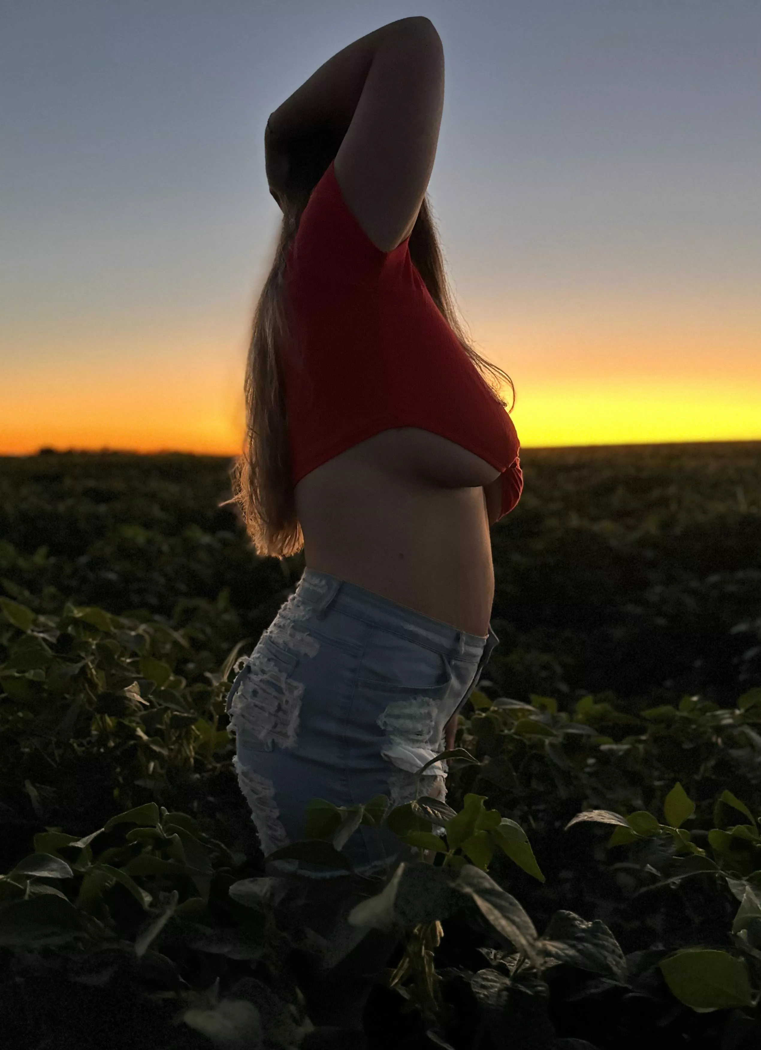 First post here, hope you like it!