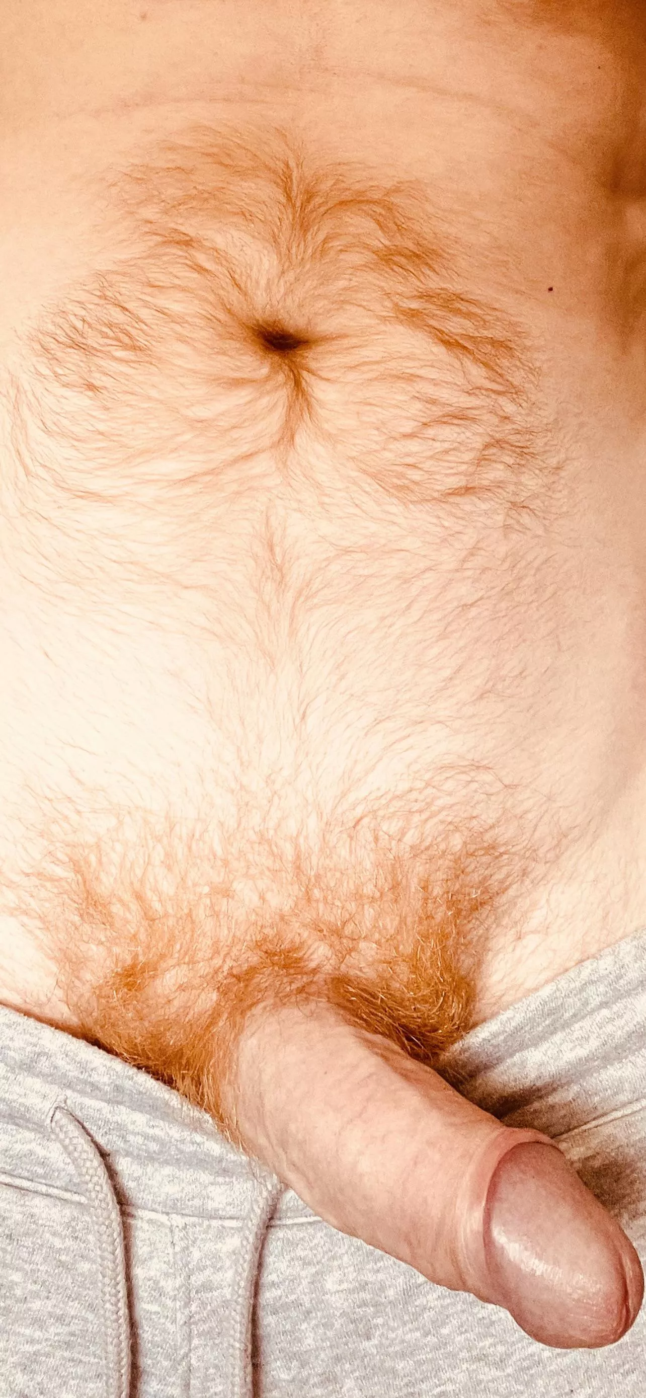 Gingerness overload……can you handle it?