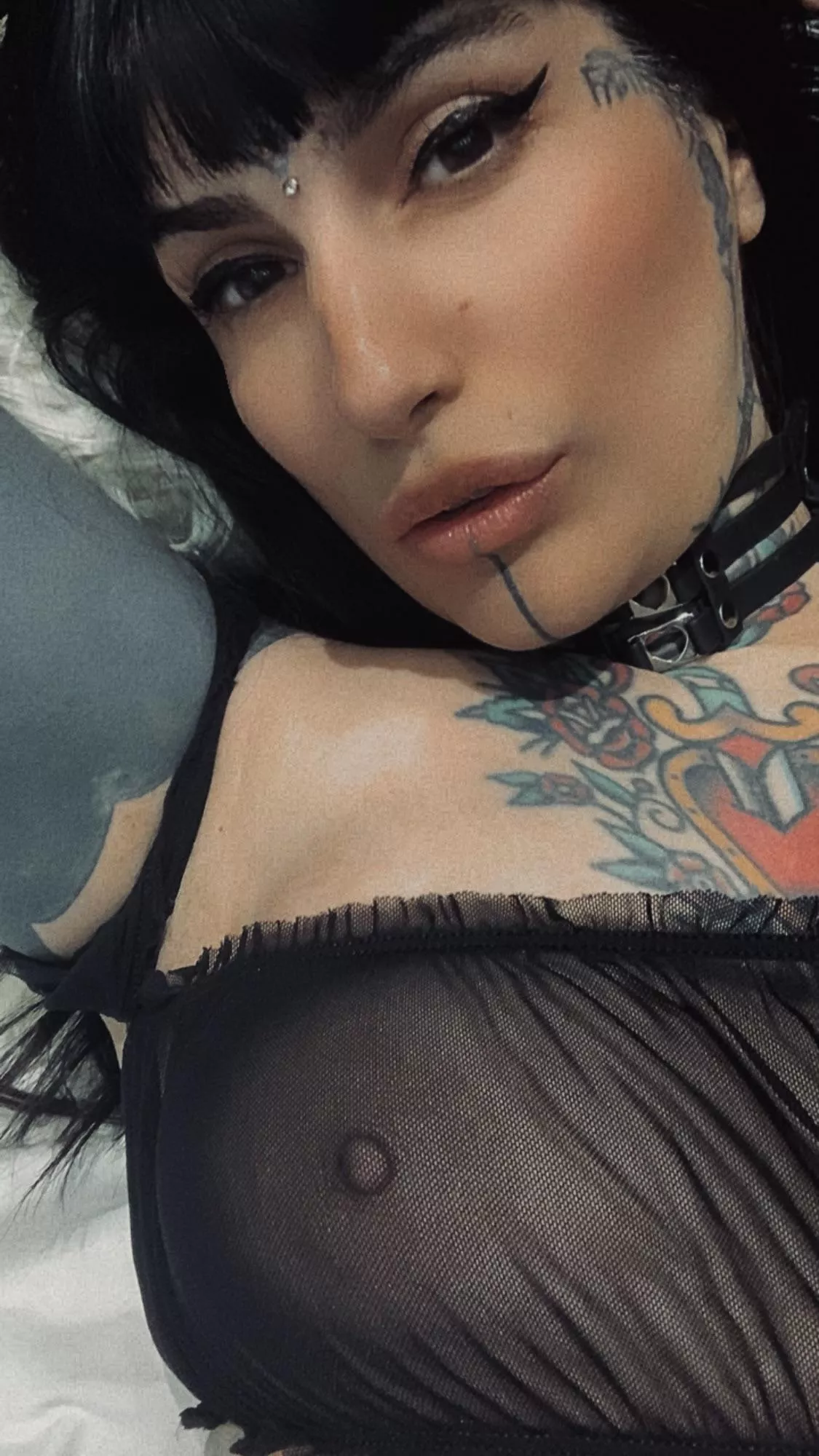 Hello, im your new neighbor