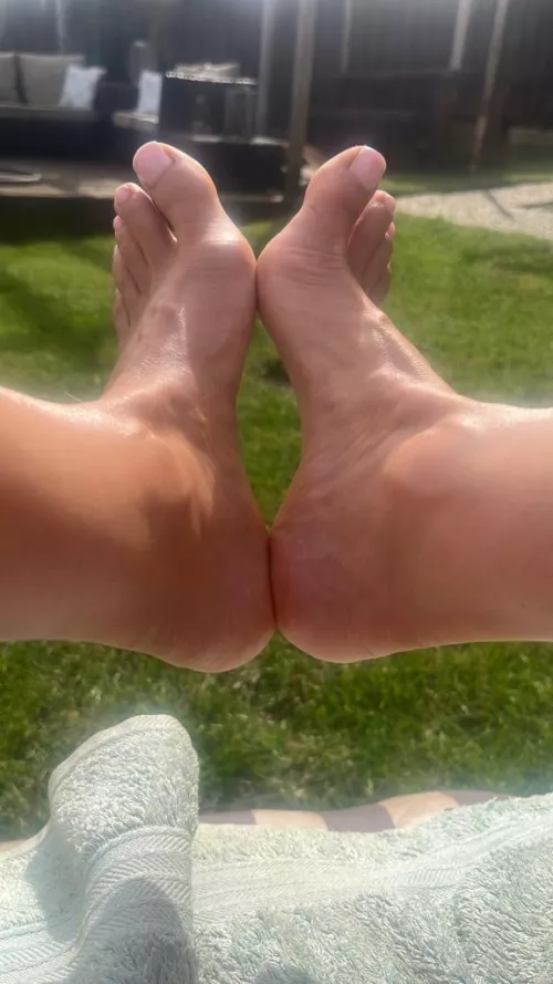 Hmmm what could I do with these arches ?