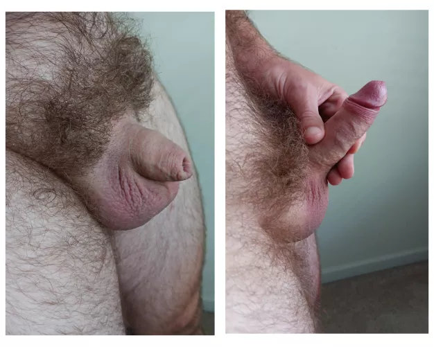 I love how the head reveals itself 😁