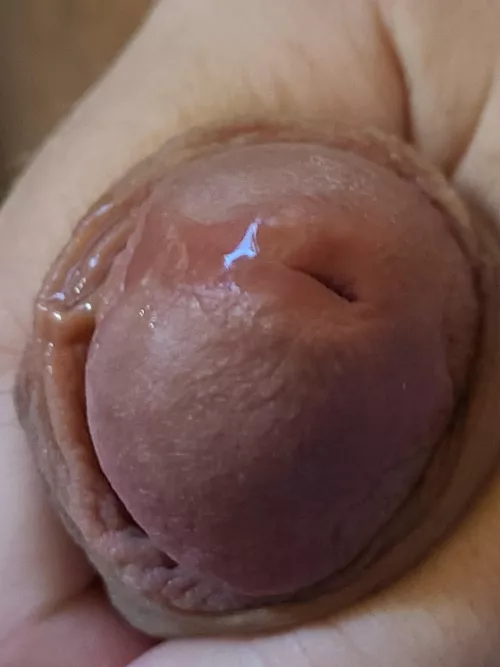 My third time masturbating today, I still have young man stamina