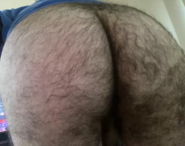 What would you do to my hairy ass?