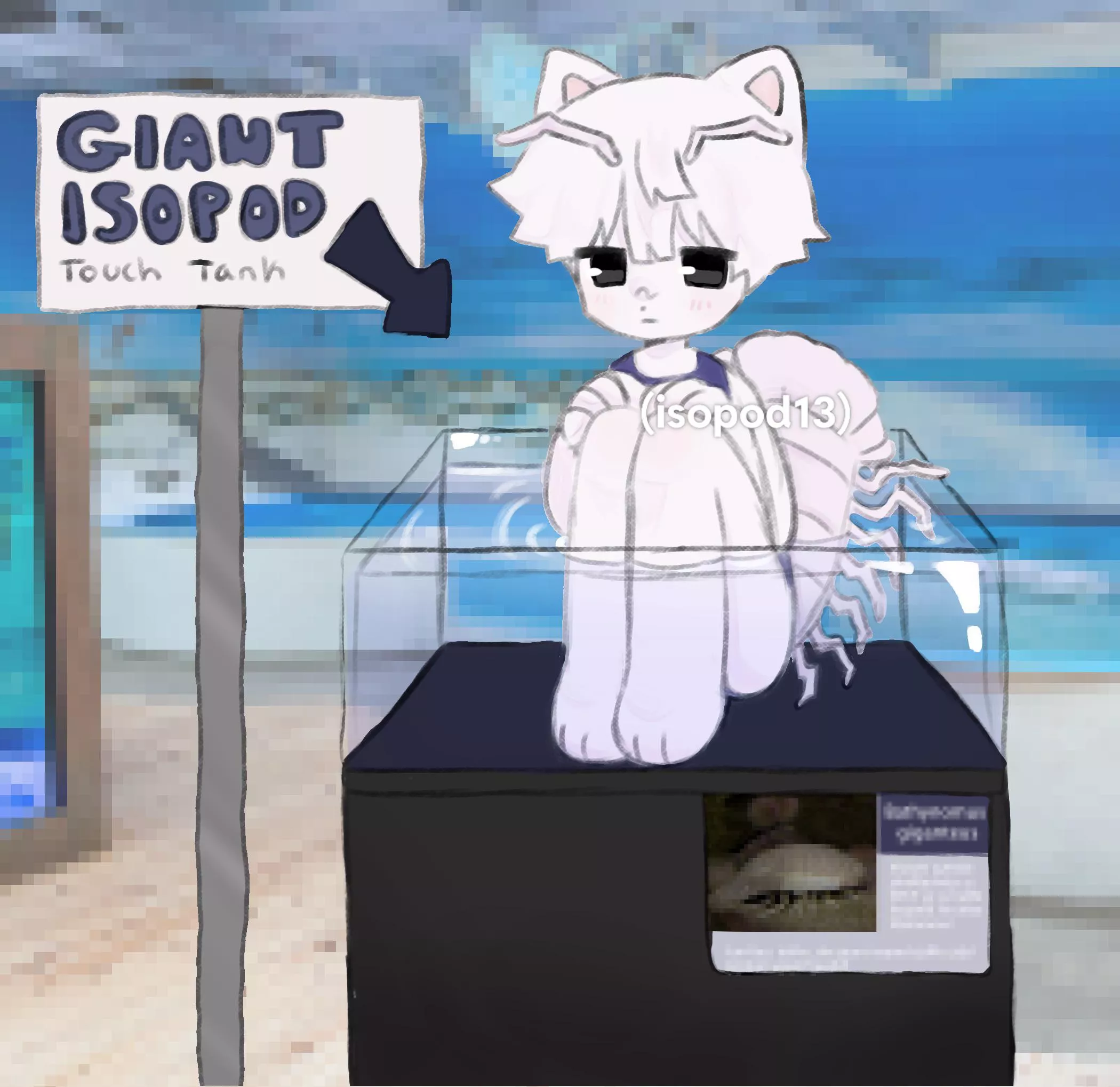 Are you interacting with this touch tank? [OC]