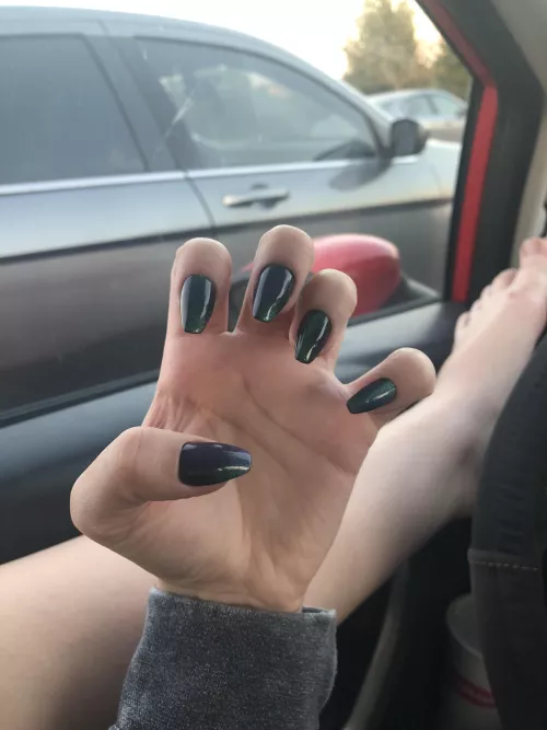gf new claws