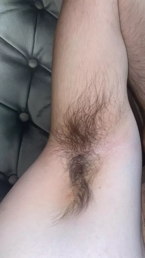 It’s like a forest 🌳