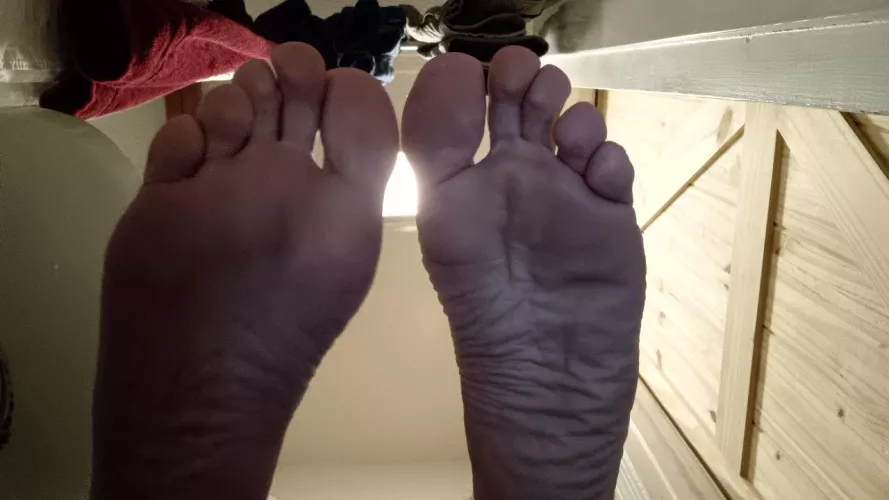 Toesnsoles