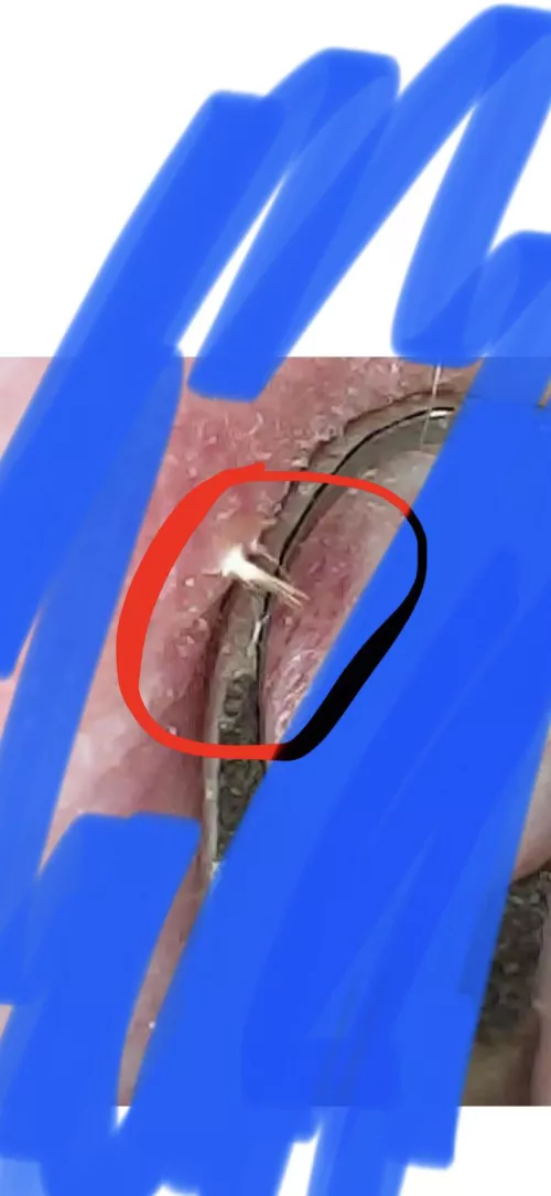 What the hell is this?