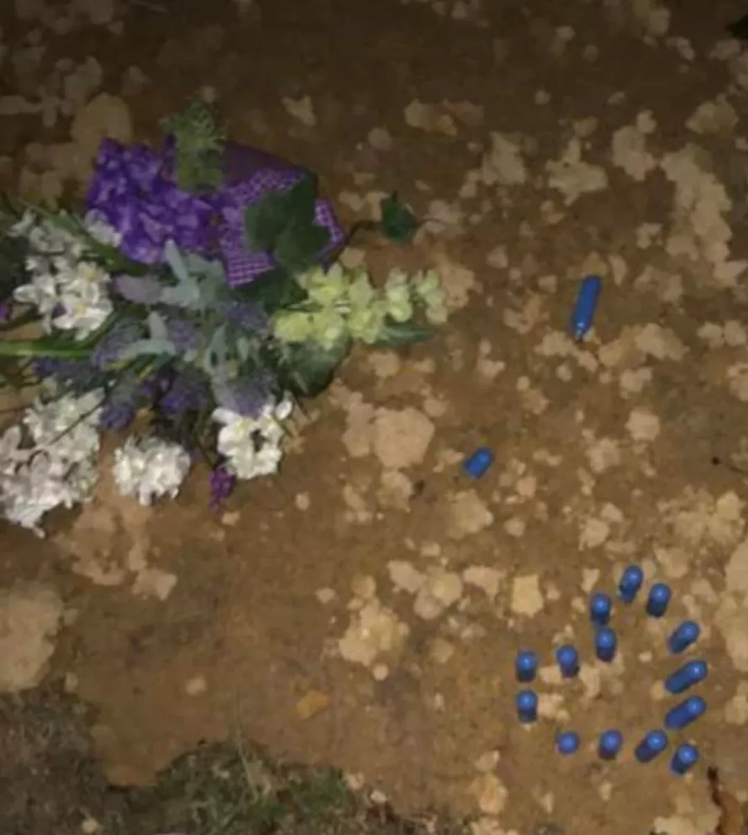 Any dirty kinky zelda ladies in NJ?