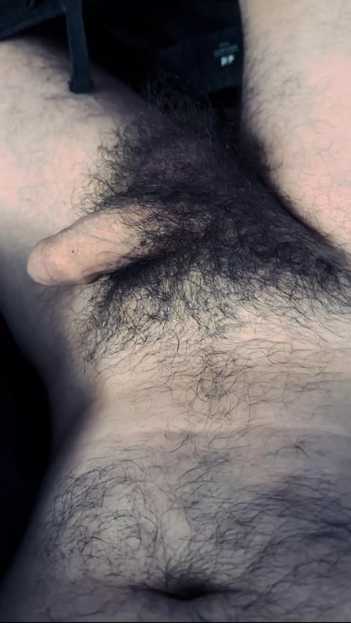 Balls totally covered in fur