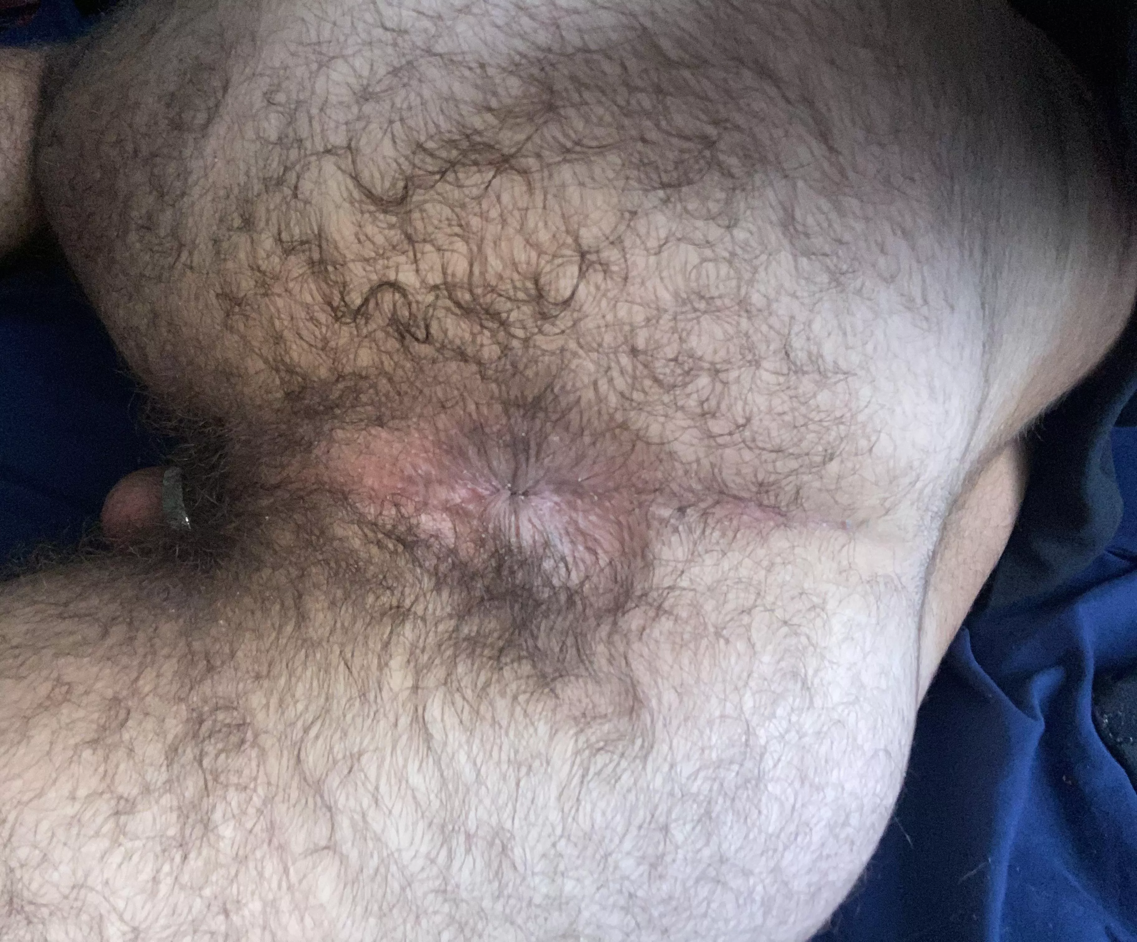 Hairy hole 🐷