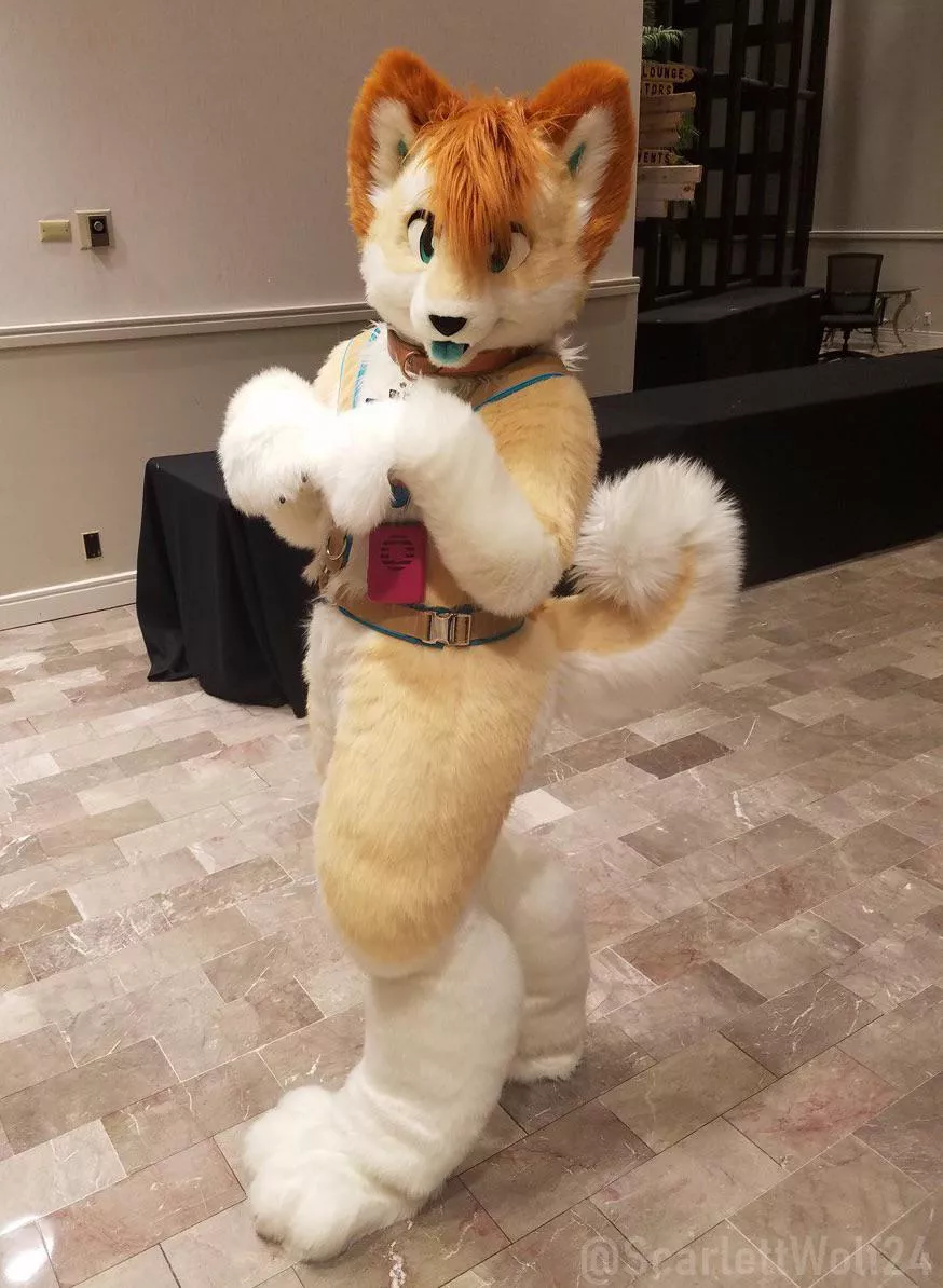 Happy Fursuit Friday!