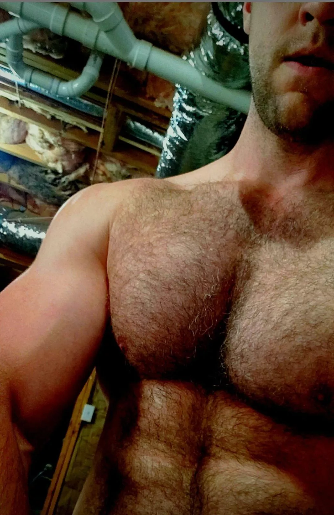 Post workout in my home gym