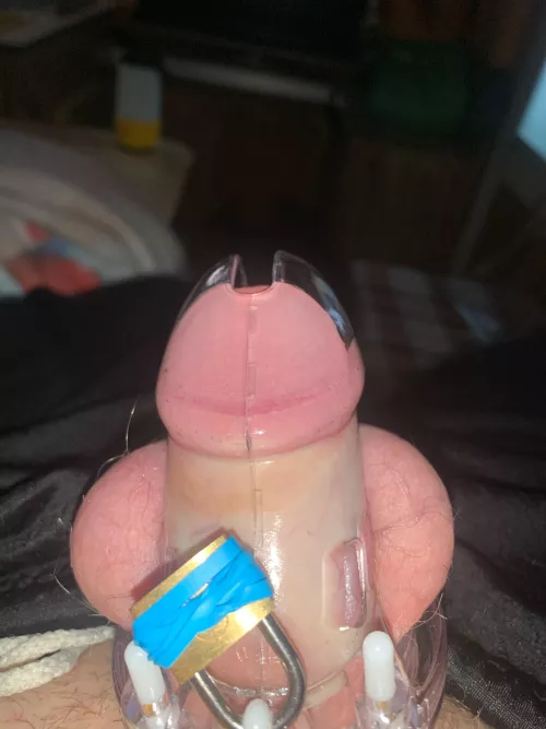 First cage and I’m already In love 🤭