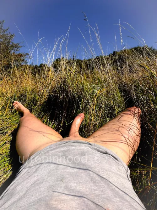 Hidden surprise at meadow:-))