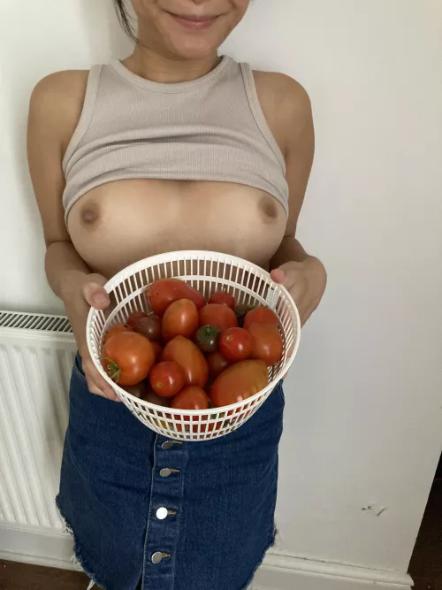 I’ve been Growing Fruit & Veg this summer for the First time. Here’s some Tomatoes I’ve grown…. Ohh & my Tits Too 🍅