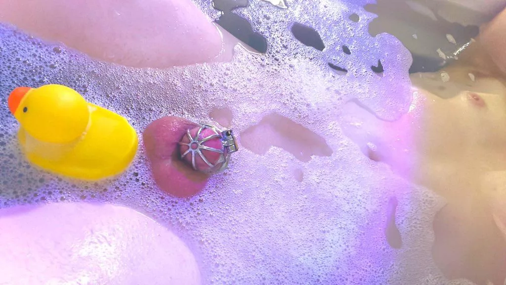 Squeaky clean cage 🥰 (24)