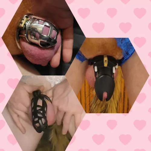 Which cage looks best?