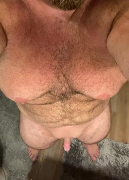 Would anyone happen to be looking for this?