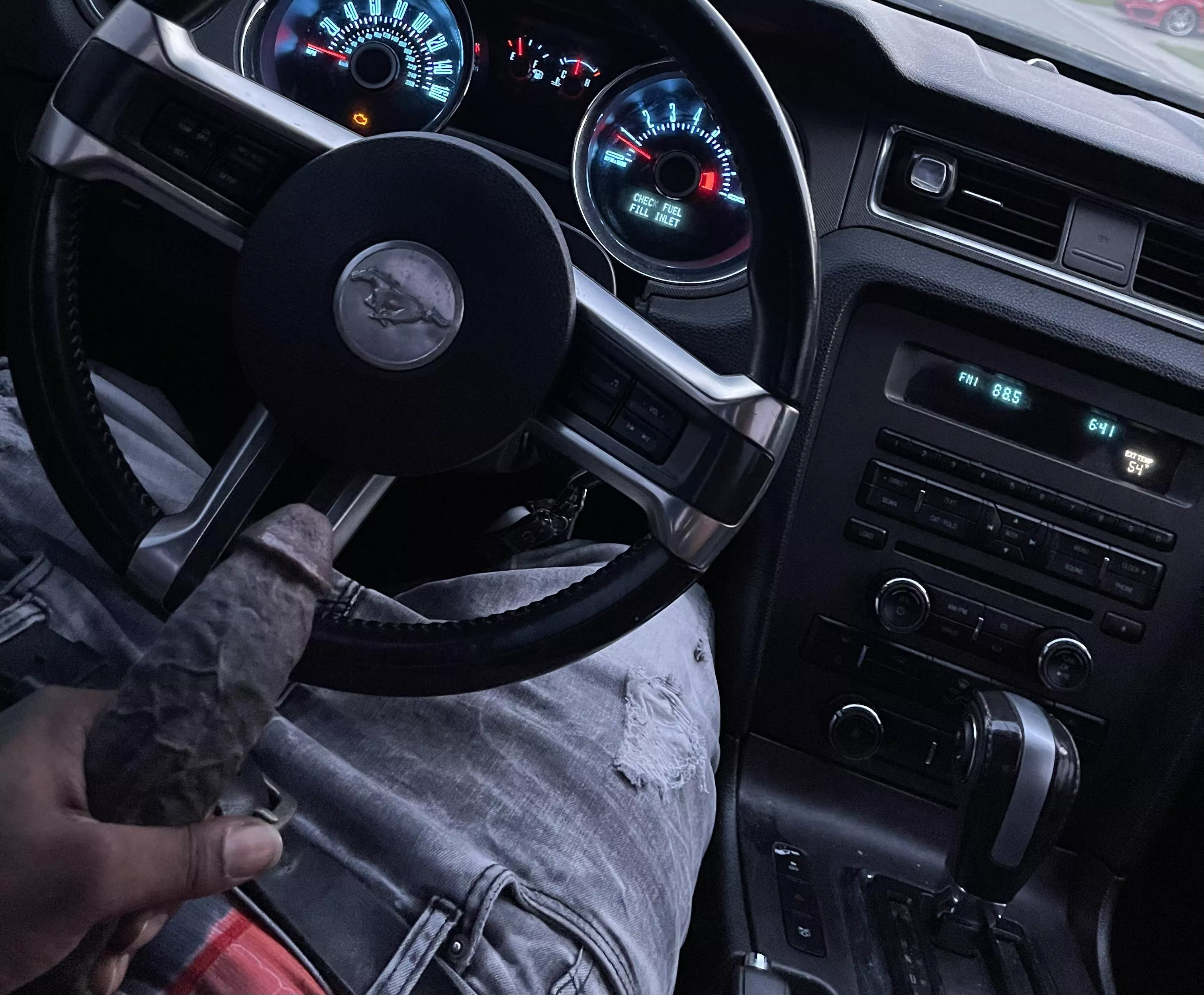 A horse in a horse 😏 looking for a cowgirl