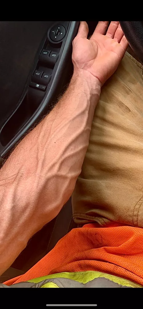 Blue collar lunch break forearm?