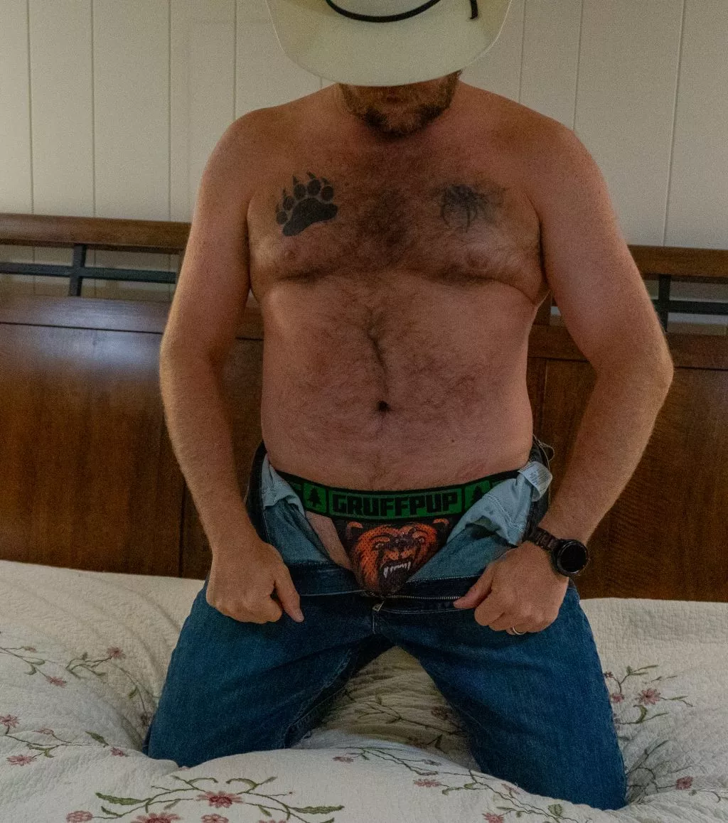 Don't approach the bear, unless you want to get mauled [43]