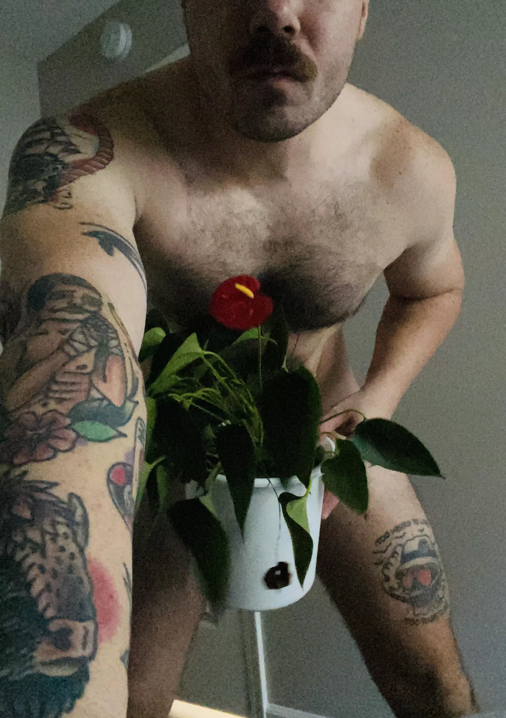 Forget planting, come and swallow my seed.