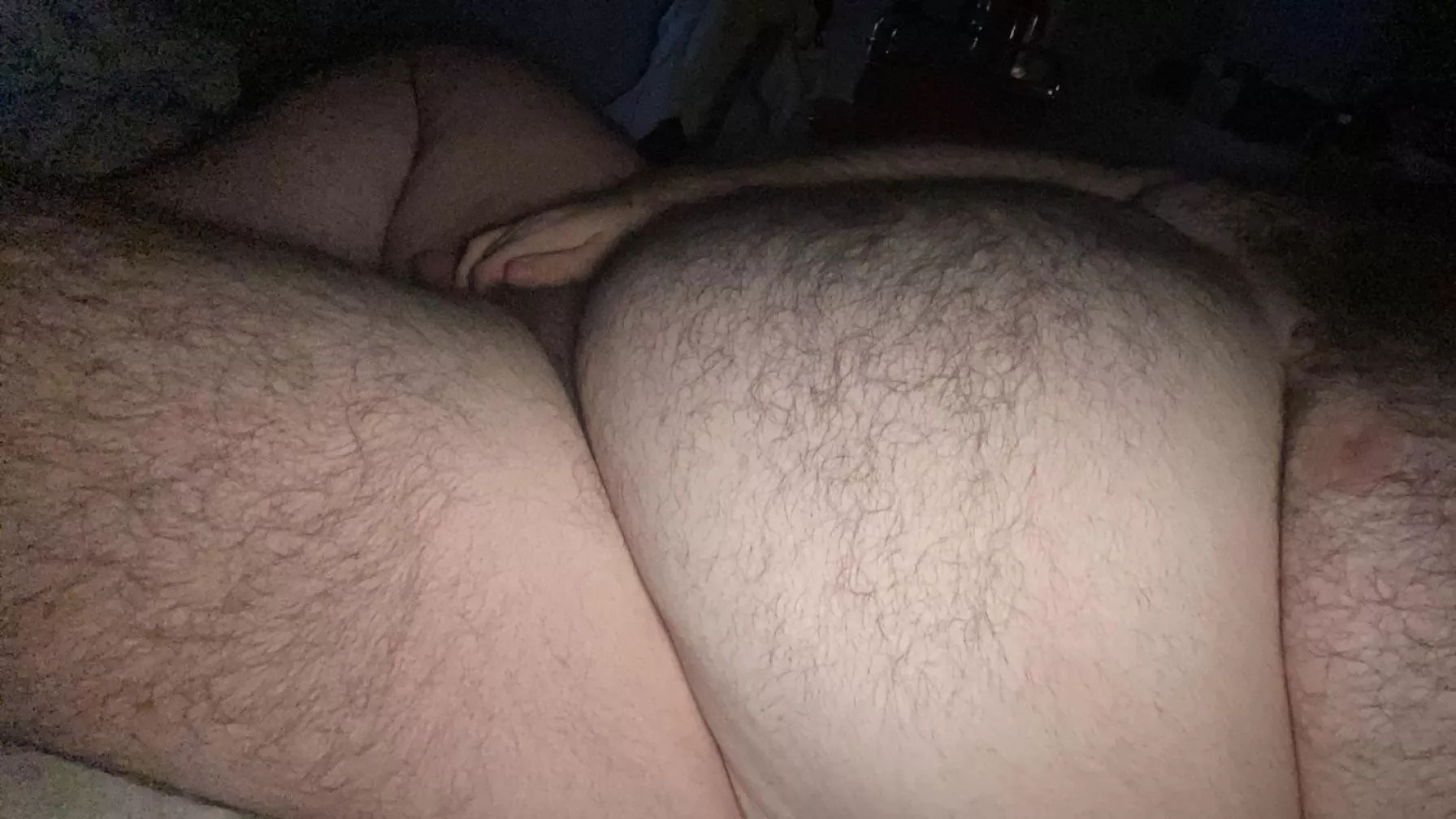 happy sunday to all my fellow bears