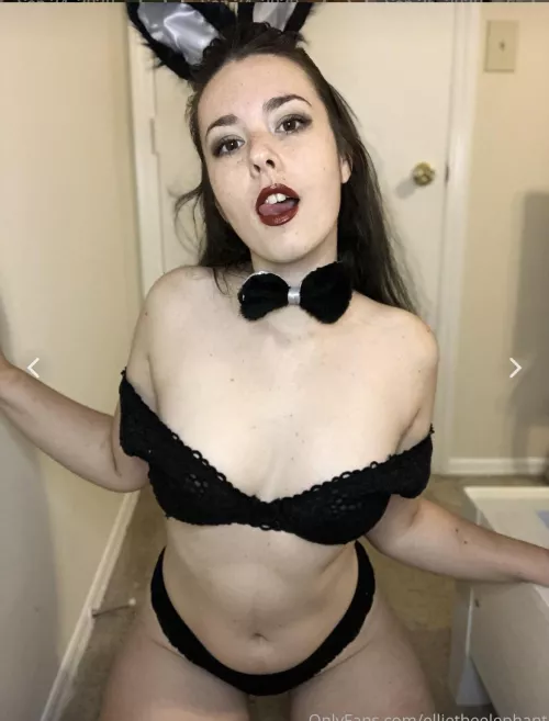 I’ll be your sexy lil bunny :3