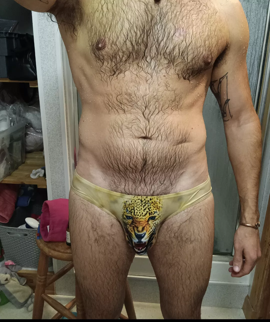 Who want to rouse the big cat 🐆