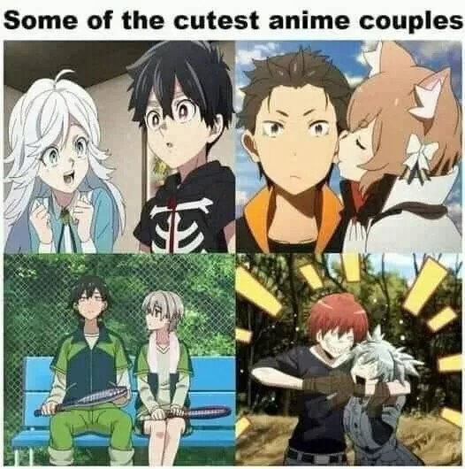 Yeah my favorite couple in anime I know